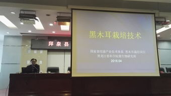 省農業院?？萍纪茝V服務聯盟專家赴拜泉縣指導食用菌生產 備春耕科技支農活動系列報道之二