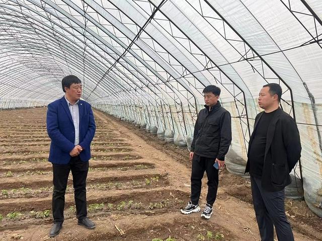 通遼國家農(nóng)業(yè)科技園區(qū)發(fā)展服務(wù)中心、通遼市科技成果轉(zhuǎn)化服務(wù)中心開展精準(zhǔn)科技幫扶 助力現(xiàn)代農(nóng)業(yè)發(fā)展