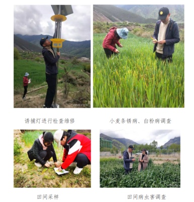 農(nóng)口科技人員春季下基層服務簡報