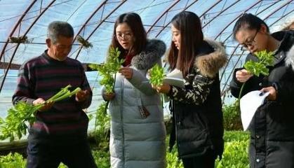 “智囊團”來啦!6個科技小院落戶內蒙古杭錦后旗