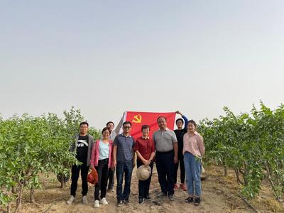 學黨史·辦實事8|林果業科技服務團隊服務基層助力鄉村振興